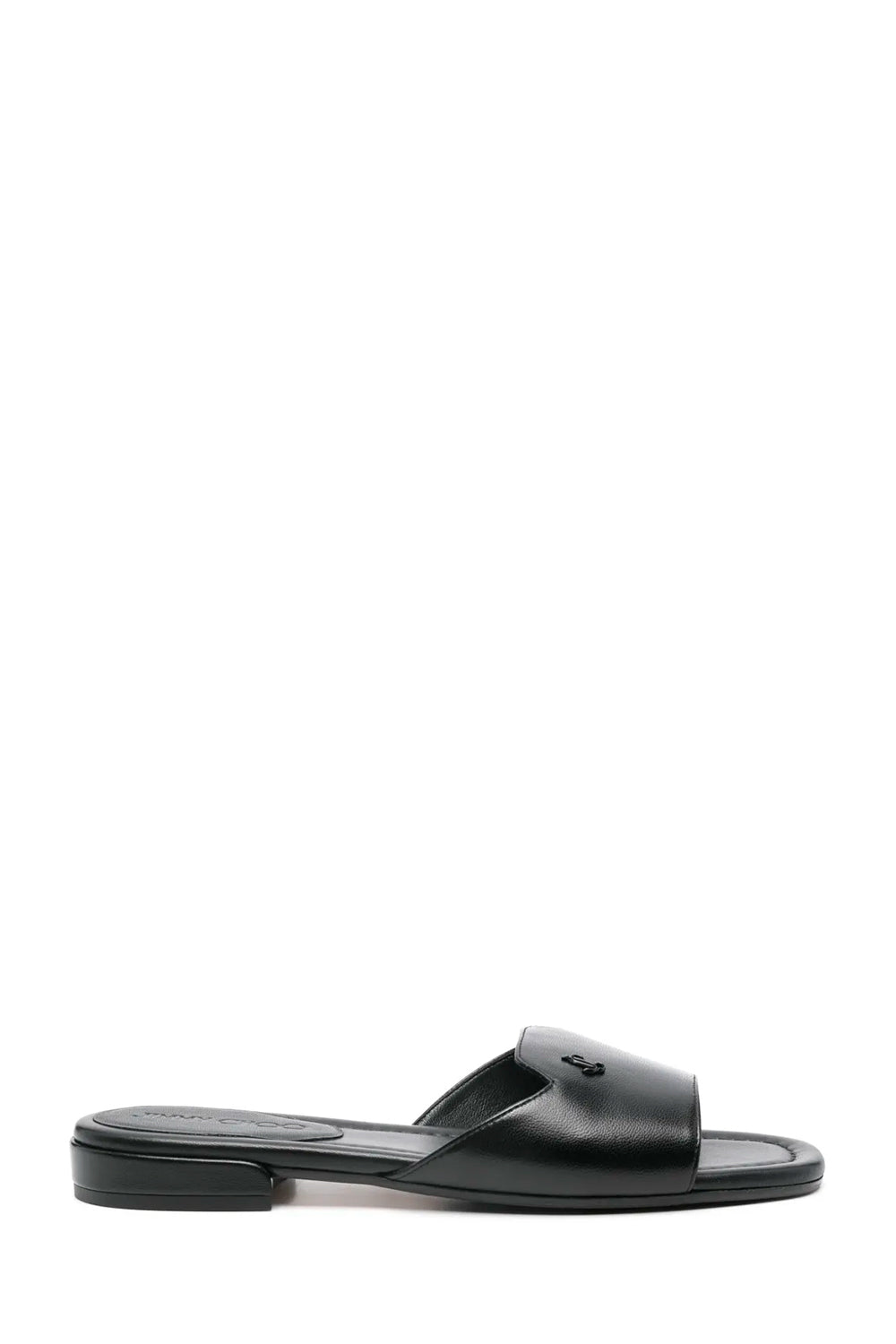 Dina Slides