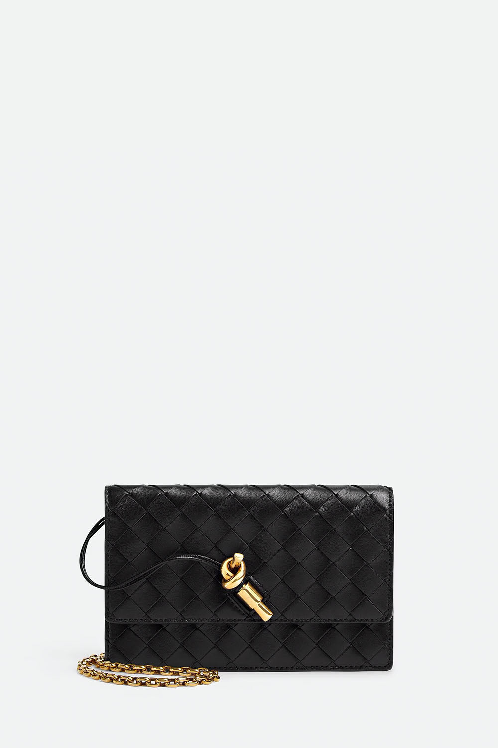 Andiamo Wallet on Chain